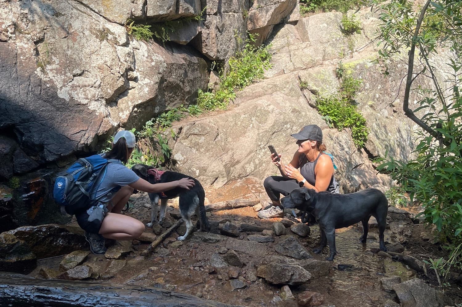 Employee hiking days